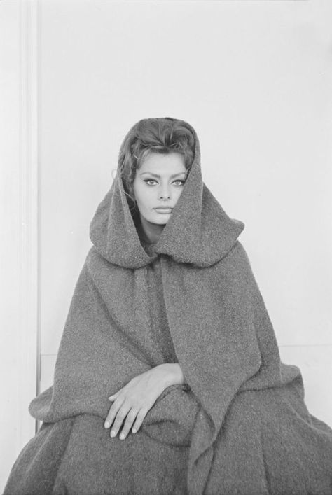 Sophia Loren: Stunning vintage photos of the Italian classic beauty icon, 1950s-1960s - Rare Historical Photos Sofia Loren, Hollywood Cinema, Popular Actresses, Italian Actress, Famous Movies, Sophia Loren, Beauty Icons, Best Actress, Classic Beauty