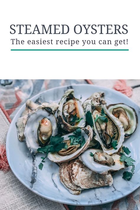 Steamed Oysters On The Grill, Steamed Oysters On Stove, How To Cook Oysters In The Shell, Boiled Oysters Recipe, Steamed Oyster Recipes, Steam Oysters, Oysters At Home, Steamed Oysters, Cooked Oysters