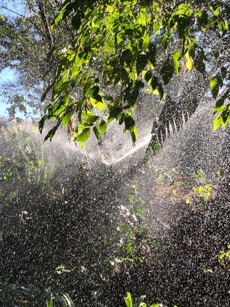 Rain Aesthetic Light, Stormy Summer Aesthetic, Sun Showers Aesthetic, Rainy Summer Aesthetic, Sunny Rain Aesthetic, Summer Rain Aesthetic, Sunny Rain, Flower Cottagecore, Sunshine Rain