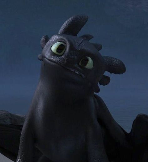 Toothless, Avatar, Books Wattpad, Wattpad, Books, Blue