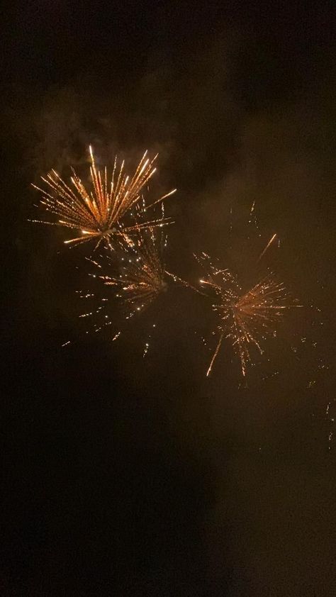 New Year Fireworks Videos, Fireworks Gifs, Gif Fireworks, Firework Wallpaper, Gif New Year, Fireworks Video, New Years Fireworks, Nye Fireworks, Fireworks Gif