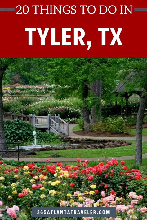 Tyler, Texas probably isn’t the first location that pops into your head when thinking about places to visit in Texas -- but it should be! With state parks, zoos, museums, gardens, estates, and some of the best BBQ you've ever had -- Tyler has something for everyone. Here are 20 things to do in Tyler TX that you're going to want to add to your Texas bucket list. Top Family Vacations, Texas Bucket List, Tyler Texas, Tyler Tx, Best Bbq, Texas Travel, Usa Travel, Vacation Ideas, Travel Usa