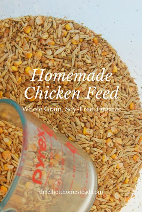 You will need: – 12 cups organic, feeder oats (.34 cents/lb) – 8 cups organic, soft white wheat (.38 cents/lb) – 8 cups organic, hard red… Home Made Chicken Food, Diy High Protein Chicken Feed, Chicken Feed Recipe Homemade, Diy Chicken Layer Feed, Chicken Feed Mix Recipe, Homemade Chicken Food For Chickens, Homemade Chicken Feed For Layers, Diy Chicken Feed Recipes, Chicken Breeding Pens