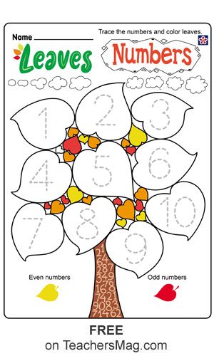 To do this worksheet students can trace the numbers and then color the leaves that are even number yellow and odd numbers red. Kindergarten Fall Worksheets, Fall Preschool Worksheets, Fall Worksheets, Fall Preschool Activities, Fall Math, Fall Kindergarten, Printable Preschool Worksheets, Fall Preschool, Odd Numbers