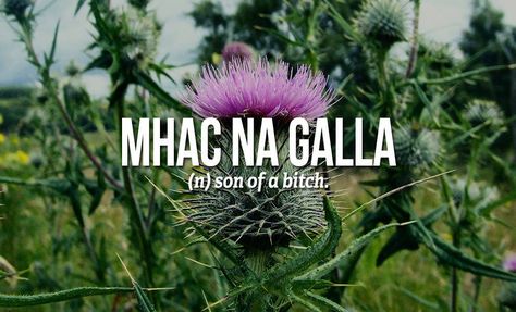 Gaelic Quotes, Scottish Quotes, Scottish Words, Gaelic Words, Scottish Celtic, Scotland History, Swear Words, Great Scot, Scotland Forever