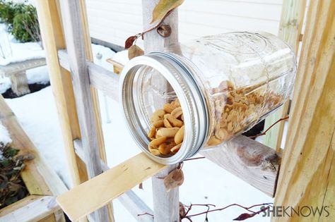 DIY Squirrel Feeder | Sheknows.com Diy Squirrel Feeder, Squirrel Feeder Diy, Squirrel Feeders, The Nut Job, Paint Stir Sticks, Homemade Bird Houses, Squirrel Feeder, Bird House Kits, Bird Garden