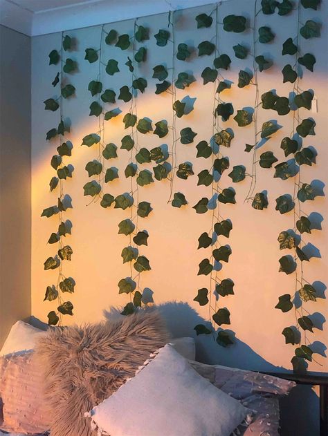 The Wall, Collar, Bed, Plants, Wall, Green