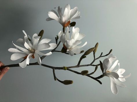 Star Magnolia Branch Flower Header, Star Magnolia, Making Paper Flowers, White Peonies Bouquet, Magnolia Paint, Magnolia Tattoo, Dogwood Branches, Magnolia Branch, Peach Peonies