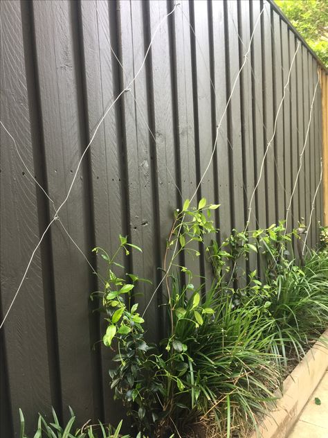 Dulux Woodland Grey.  Perfect fence color Dark Grey Fence Garden Ideas, Painted Fence Ideas Colour, Dark Grey Fence Garden, Charcoal Grey Fence, Woodland Grey Fence, Upgrade Backyard, Garden Fence Colours, Cuprinol Muted Clay Fence, Cottage Fence