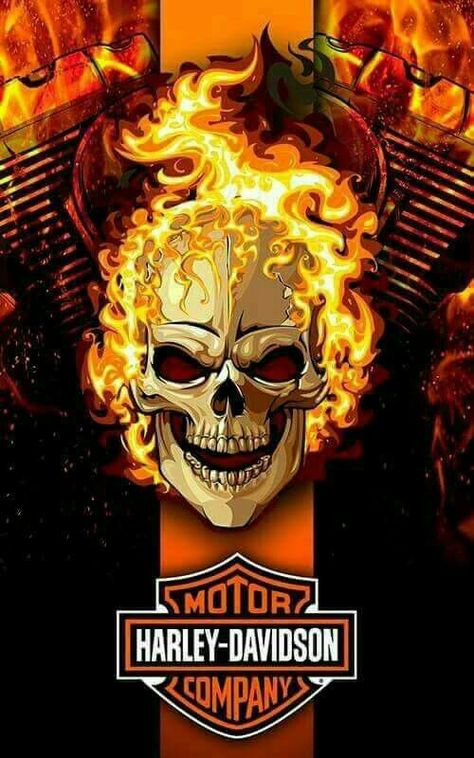 Fire the engines... Harley Davidson Kunst, Art Harley Davidson, Logo Harley Davidson, Motocykle Harley Davidson, Harley Davidson Shirts, Harley-davidson Sportster, Harley Davidson Decals, Harley Davidson Night Train, Moto Harley Davidson