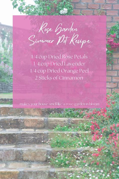 Rose Garden Simmer Pot Recipe - Lydia Loves Purple spring simmer pot, summer simmer pot, Valentine's Day simmer pot, rose simmer pot Rose Simmer Pot, Valentines Simmer Pot, Summer Simmer Pot, Spring Simmer Pot, Simmer Pots, Homemade Potpourri, Simmer Pot Recipes, Dried Orange Peel, Simmer Pot