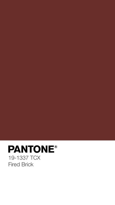 Pantone 19-1337 TCX Fired Brick • Concealing Coloration • Savanah Tan, Pantone Palette, Pantone Colours, Pantone Colors, Pantone, Kangaroo, Ganache, Fired Black, Colour Scheme, Colour Inspiration, Color Scheme, Color Palette, Cement, Camouflage • Download Free Adobe Illustrator Palette in .ase • #pantone #pantonestudio #pantoneproject #colortrending #pantonecolours #visualgraphics #designfeed Tan Pantone, Colours Pantone, Free Adobe Illustrator, Pantone Colours, Pantone Palette, Pantone Colors, Brick Colors, Romantic Colors, Fall Color Palette