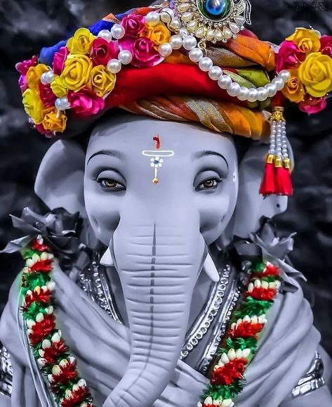 100+ Lord Ganesh Photos, Images, Wallpapers HD Ganesh Photos Hd, Ganesh Photos, Dagdusheth Ganpati, Jai Shree Ganesh, Ganpati Photo Hd, Photos Of Ganesha, Elephant Sketch, Ganesh Ji Images, Shri Ganesh Images