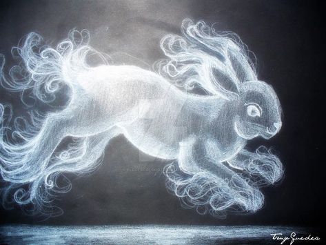 "Patronus Rabbit" (Rabbit Spirit) by Tony Quedea (10/26/22) #October Wild Rabbit, Luna Lovegood, Hogwarts, Art