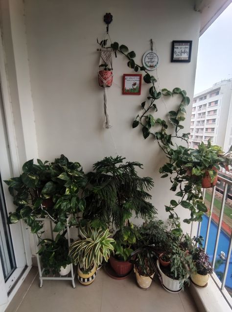 Balcony Vines, Small Balcony Decor, Small Balcony, Balcony Decor, Balcony Garden, Ladder Decor, Balcony, Vines, Decor Ideas