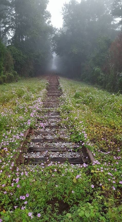 Baba Jaga, Apocalypse Aesthetic, Pretty Landscapes, Train Tracks, Alam Yang Indah, Nature Aesthetic, Pretty Places, Green Aesthetic, A Train