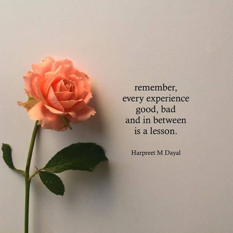 There is a lesson in everything 🌺 Rose Quotes, Never Settle, Soul Quotes, Inner Circle, Islamic Inspirational Quotes, Daily Inspiration Quotes, Self Quotes, Reminder Quotes, Healing Quotes