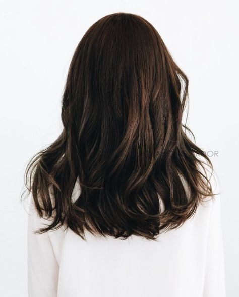 Dark Chocolate Hair Color, Dark Chocolate Hair, Chestnut Hair, Hair Color Chocolate, Chocolate Brown Hair Color, Ombre Highlights, Chocolate Hair, Hair Ombre, Balayage Brunette