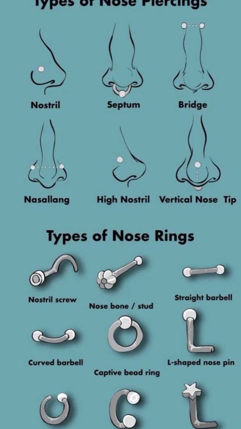 Types Of Nose Piercings, Types Of Nose, Piercing Types, Different Types Of Piercings, Types Of Dreams, Piercing Chart, Nose Piercings, Types Of Piercings, Body Piercings