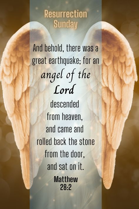 Resurrection Sunday; The stone is rolled away! Bible Verse Matthew 28:2 Resurrection Quotes Bible Verses, Resurrection Bible Verses, Resurrection Quotes, Sunday Bible Verse, Bible Verse Matthew, Quotes Bible Verses, Encouraging Scriptures, Christian Board, Resurrection Sunday