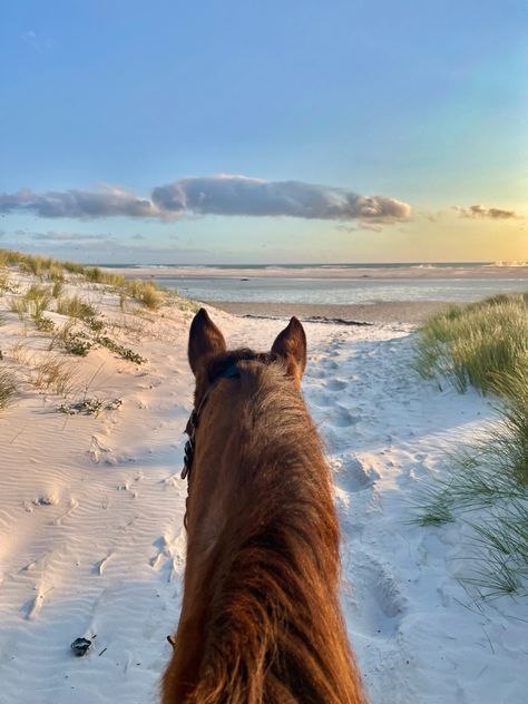 View from a horse’s back riding onto the beach in Cape Town Horse On Beach Aesthetic, Horse Riding Aesthetic Beach, Horse Beach Aesthetic, Horses At The Beach, Horse Riding On Beach, Wallpaper Cape, Coastal Equestrian, Horse Wallpaper Aesthetic, Horse Riding Beach