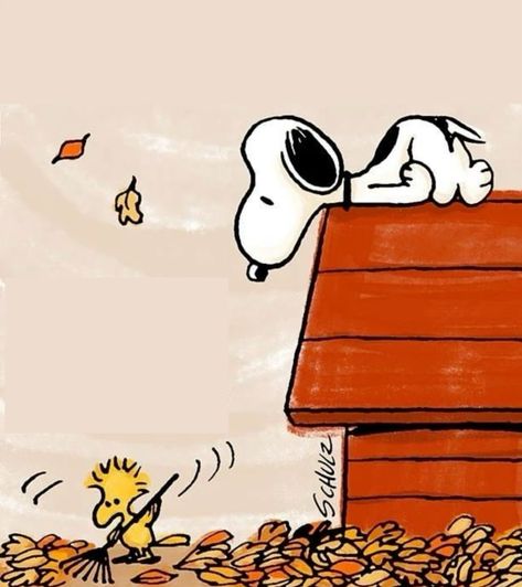 Thanksgiving Peanuts Wallpaper, Fall Snoopy, Peanuts Fall, Snoopy Thanksgiving, Thanksgiving Snoopy, Thanksgiving Icon, Santa Jokes, Charlie Brown Comics, Thanksgiving Drawings