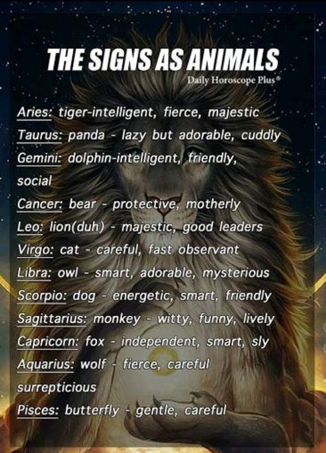 Zodiac Signs Animals, Zodiac Signs Pictures, Horoscope Memes, Zodiac Animals, Signs Astrology, Zodiac Sign Traits, Zodiac Stuff, Zodiac Society, Zodiac Traits