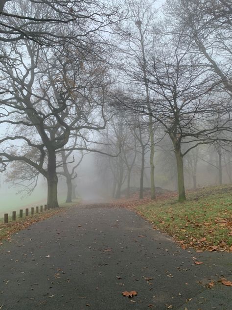 Foggy day #walk #christmas #foggy #dark Foggy Neighborhood Aesthetic, Folklore Fall, Foggy Meadow, Fall Landscapes, England Aesthetic, Foggy Day, Dark Nature Aesthetic, Misty Forest, Foggy Morning