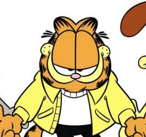 Garfield The Cat, Matching Pfp, Hello Kitty, Kitty