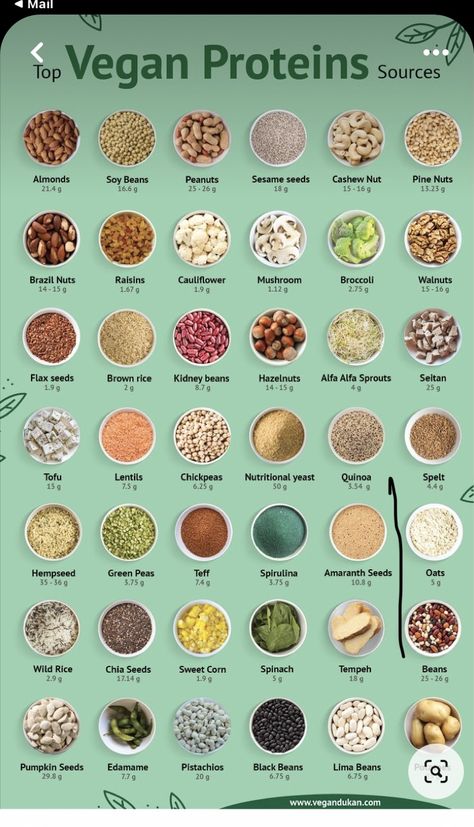 Vegan Protein Sources, High Protein Vegan Recipes, High Protein Vegan, Vegan Nutrition, Vegan Meal Plans, Tasty Vegetarian Recipes, Think Food, Diet Vegetarian, Vegan Protein