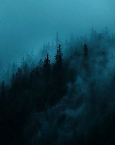 Muted Blue Green Aesthetic, Twilight Marathon, Blue Clothes Aesthetic, Basic Wallpapers, Blur Picture, Green Branding, Green With Blue, Slytherin Aesthetic, Wolf Pictures