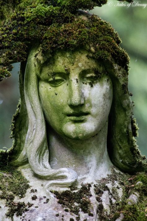 Plant Body Horror, Mossy Statue, Abandoned Statues, Moss Statue, Statue Garden, Growth And Decay, Greek Statues, Ancient Statues, Cemetery Art