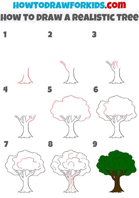 Trees Drawing Tutorial, Tree Drawing Simple, Tree Drawings Pencil, Picture Tree, Simple Tree, Nature Sketch, Tree Sketches, Basic Drawing, Drawing Tutorial Easy