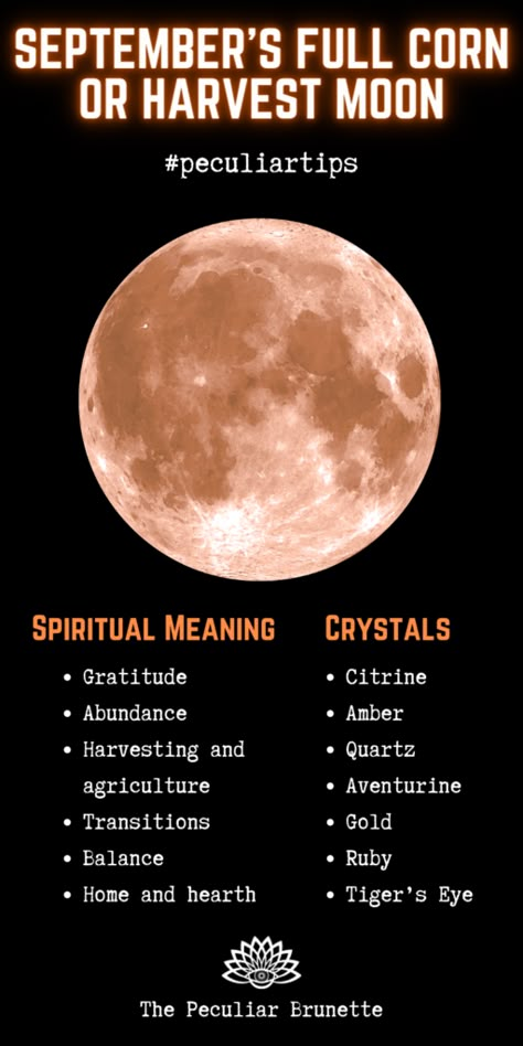 Harvest Moon Meaning, Harvest Moon Ritual, September Full Moon, September Moon, Full Moon Meaning, Full Harvest Moon, Full Moon Spells, Corn Moon, Moon Spiritual