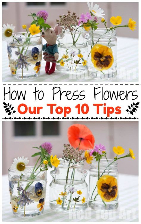 Pressing Leaves, Pressed Flowers Diy, Press Flowers, Pressing Flowers, Dried Flowers Diy, Red Ted Art, Pressed Flower Crafts, Summer Craft, Summer Crafts For Kids