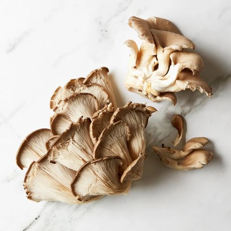 15 Types of Mushrooms and How to Cook With Them | Epicurious Different Kinds Of Mushrooms, Flat Mushrooms, Mushroom Types, Different Types Of Mushrooms, Different Mushrooms, Mushroom Polenta, Types Of Mushrooms, Star In Japanese, White Button Mushrooms