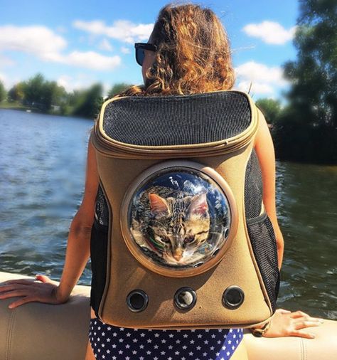 cat bubble backpack astronaut cat carrier space dome cat travel backpack cat backpack Big House Cats, Travel Cat, Cat Backpack Carrier, How To Cat, Adventure Cat, Adventure Backpack, Cat Halloween Costume, Cat Info, Cat Backpack