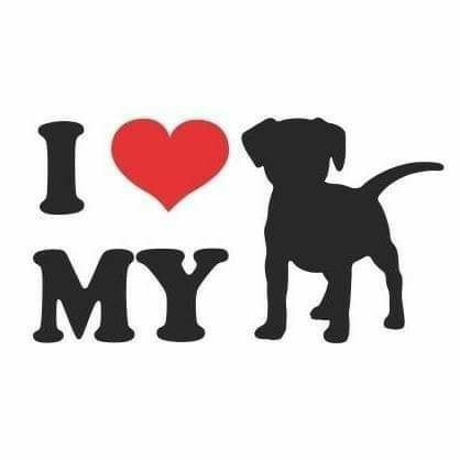 I Love My Dog Pfp, Pet Portrait Tattoos, Dog Paw Drawing, Love Profile Picture, Paw Drawing, Portrait Tattoos, Cute Text Quotes, Zestaw Ikon, I Love Drawing