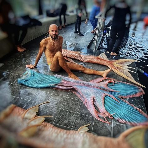 Merman Costume, Cosplay Hacks, Black Cartoons, Merman Tails, Realistic Mermaid Tails, Realistic Mermaid, Mermaid Photography, Life Under The Sea, Siren Mermaid