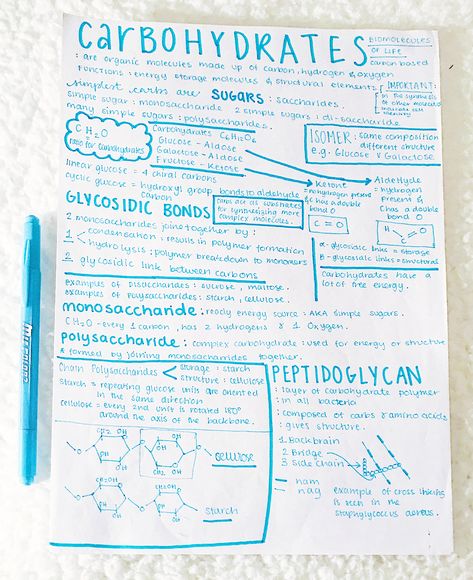 Nutrition Student Notes, Carbohydrates Notes Biology, Biochemistry Notes Carbohydrates, Macromolecules Biology Notes, Carbohydrates Notes, Carbohydrates Biology, Nutrition Notes, Gcse Science Revision, Biochemistry Notes