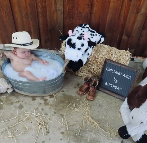 Western Half Birthday, Cow Milestone Pictures, Western Milestone Pictures, Half Way To One Photoshoot Ideas For Boys, Half Birthday Baby Boy Photoshoot, Western Baby Photo Shoot, Baby Boy Milk Photoshoot, Halfway To One Photoshoot Boy, Baby Cow Photoshoot