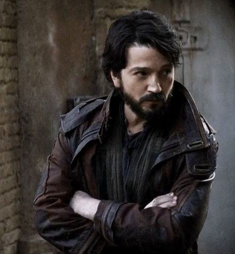 Home Wrecker, Diego Luna, Scruffy Men, Im Falling In Love, Face Reference, Hans Solo, Father Figure, Love Stars, Star Wars Universe