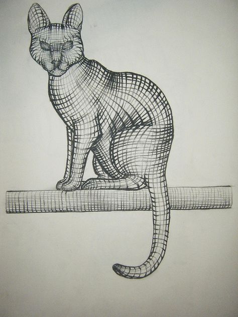 Cross Contour Cat | Flickr - Photo Sharing! Contour Hatching Drawing, Contour Line Art Lesson, Cross Contour Drawing, Cross Hatching Drawing, Cross Contour Line Drawing, Cross Contour, Contour Line Art, Contour Drawings, Line Art Lesson