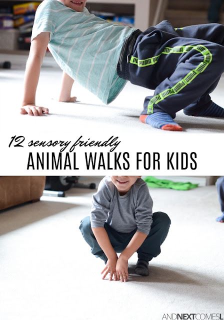 Dmdd Strategies, Animal Walks, Aba Ideas, Calming Things, Recreational Therapy, Preschool Gymnastics, Calm Down Kit, Ways To Stay Motivated, Set Room