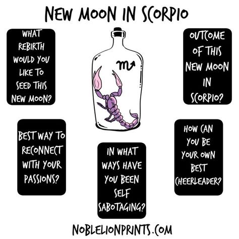 Scorpio Tarot Spread, Full Moon Tarot Reading, Scorpio Tarot, New Moon In Scorpio, Full Moon Tarot, Leo Tarot, Oracle Card Spreads, Moon In Scorpio, Biddy Tarot