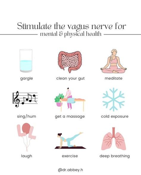 Dr. Abbey | Brain Health on Instagram: "SAVE this post for when you need it! The Vagus Nerve is a crucial component of the parasympathetic nervous system (rest & digest), which helps control a vast array of bodily functions, including control of mood, immune system, digestion, and heart rate. Next time you are feeling stressed, run down, or overwhelmed, try stimulating your vagus nerve and help reset your parasympathetic nervous system! What is your favorite way to stimulate your vagus nerve? Vagus Nerve Reset, Reset Nervous System, Vagas Nerve, Autonomic Nervous System Dysfunction, Wellness Guide, Somatic Exercises, The Vagus Nerve, Healthy Hormones, Gut Brain