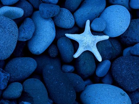 Color Azul - Blue!!! pretty blue rocks Baja California Mexico, Rhapsody In Blue, Ocean Pictures, Sea Star, Feeling Blue, Love Blue, Blues Rock, True Blue, Ocean Life