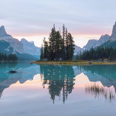 @christianannschaffer posted this heat on their IG profile. Willy Ronis, Pine Trees, Travel Photographer, Pretty Places, Landscape Photos, Land Scape, Beautiful World, Dark Fantasy, Wonders Of The World