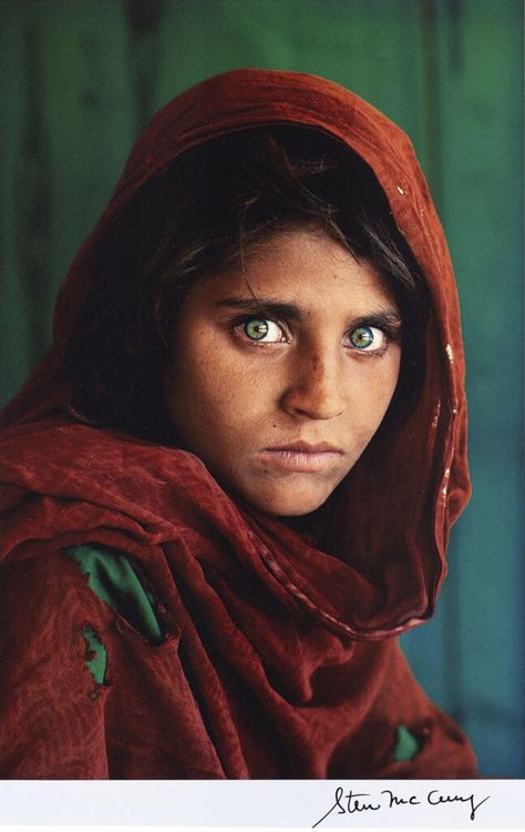 Afghan Girl, Steve Mccurry, Famous Photos, Camping Photography, Paintings Famous, History Of Photography, Famous Photographers, Magnum Photos, Original Photo