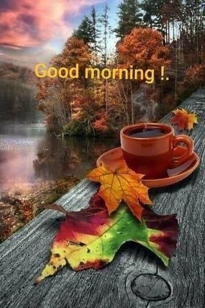 Wednesday Morning Images, Good Morning Fall, Wednesday Morning Greetings, Happy Wednesday Images, Wednesday Morning Quotes, Good Morning Quotes Friendship, Wednesday Greetings, Good Morning Animals, Crisp Morning